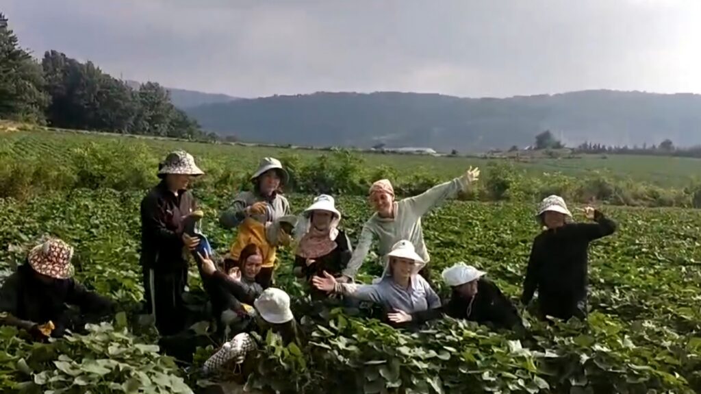Lao động ở Đăk Lăk
